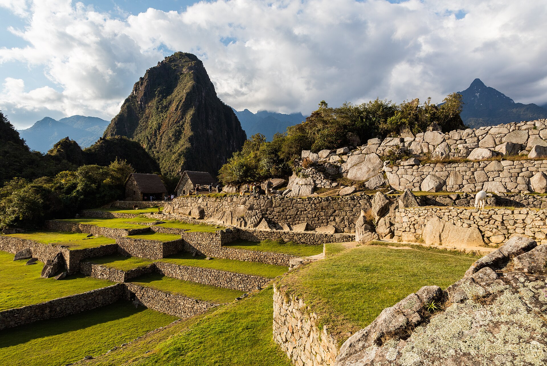 Grassy terraces and Inca stone walls inside Machu Picchu, with the peak of Huayna Picchu behind.