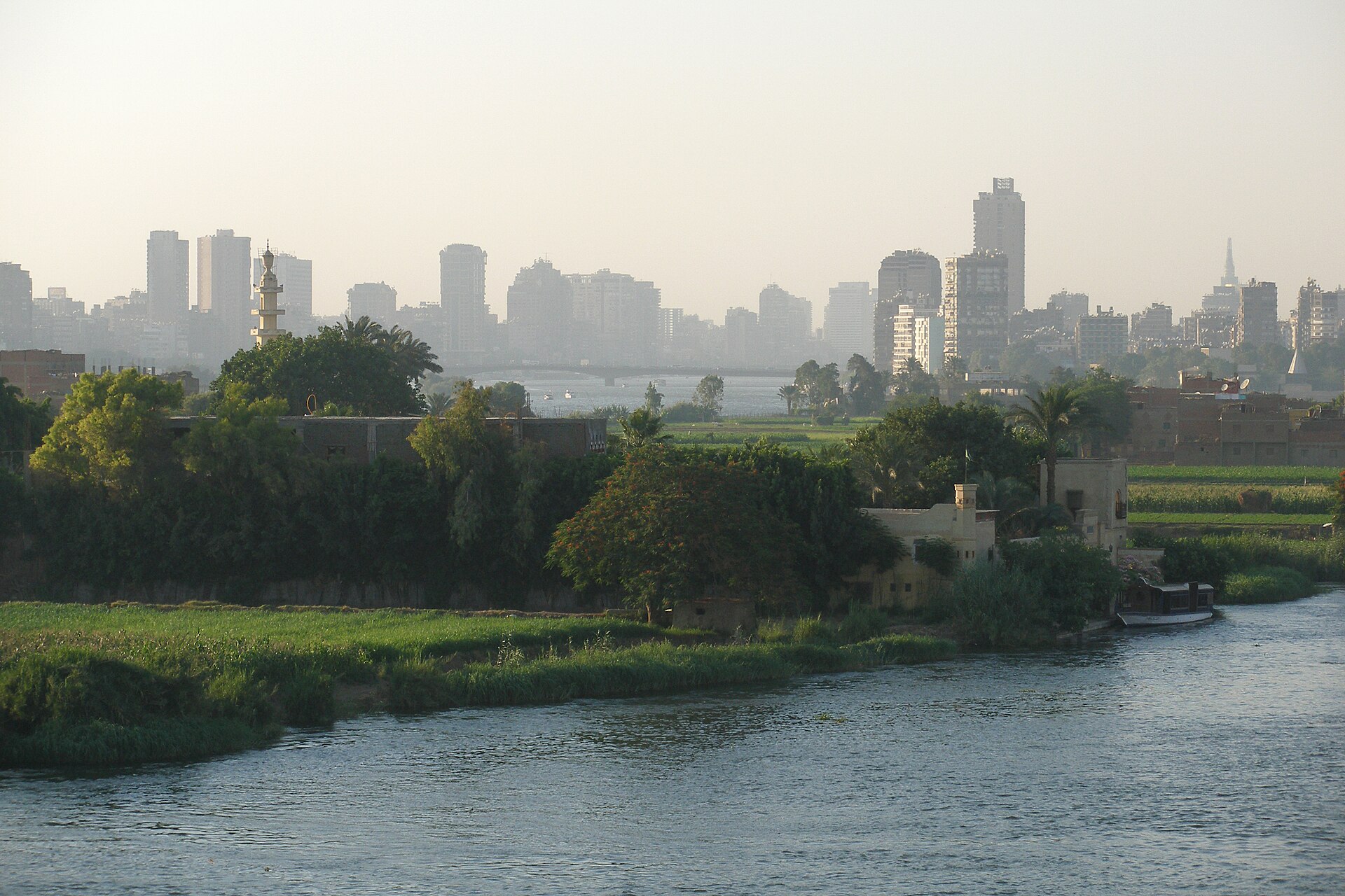 The Cairo skyline seen across the Nile, with reeds and trees along the near bank.